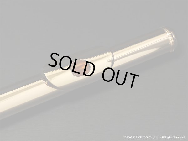 画像22: Powell　ハンドメイドフルート　All 14K R/B　総14K金製　H管　#13XXX　【中古商品】 (22)