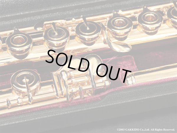 画像6: Powell　ハンドメイドフルート　All 14K R/B　総14K金製　H管　#13XXX　【中古商品】 (6)