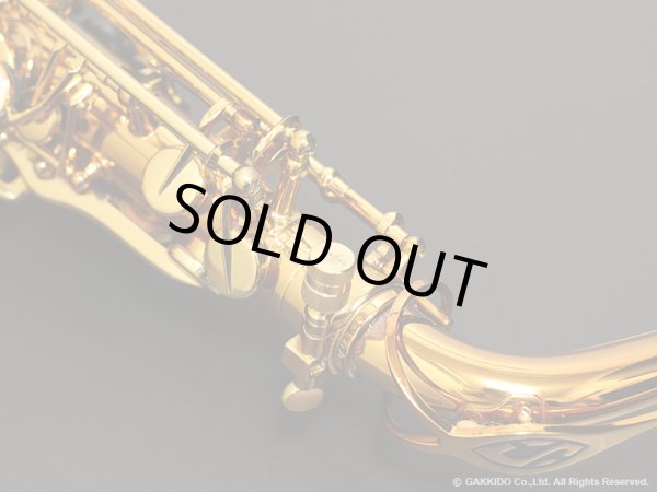 画像15: H.SELMER　アルトサックス　Reference　アンティークゴールドラッカー仕上げ　#782XXX　【中古商品】 (15)