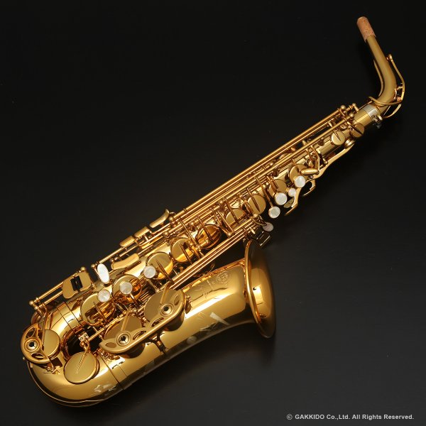 画像1: H.SELMER　Signature　アルトサックス　ダークシグネチャーラッカー仕上げ　#858XXX　【中古商品】 (1)