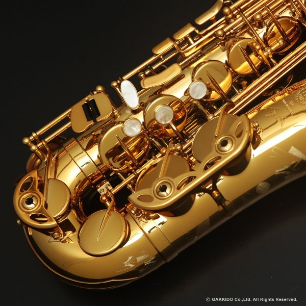 画像3: H.SELMER　Signature　アルトサックス　ダークシグネチャーラッカー仕上げ　#858XXX　【中古商品】 (3)