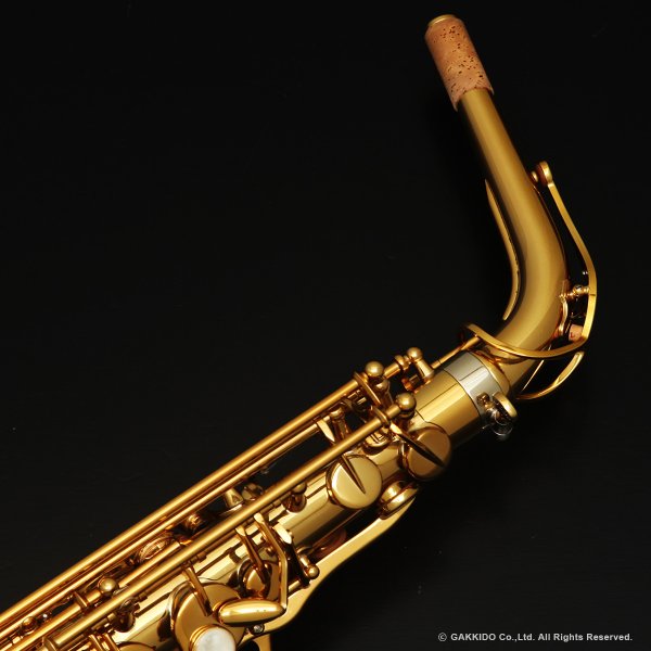 画像5: H.SELMER　Signature　アルトサックス　ダークシグネチャーラッカー仕上げ　#858XXX　【中古商品】 (5)