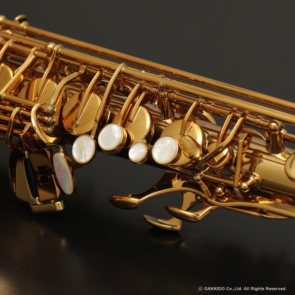 画像10: H.SELMER　Signature　アルトサックス　ダークシグネチャーラッカー仕上げ　#858XXX　【中古商品】 (10)