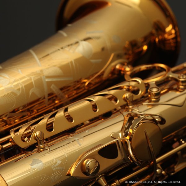 画像12: H.SELMER　Signature　アルトサックス　ダークシグネチャーラッカー仕上げ　#858XXX　【中古商品】 (12)
