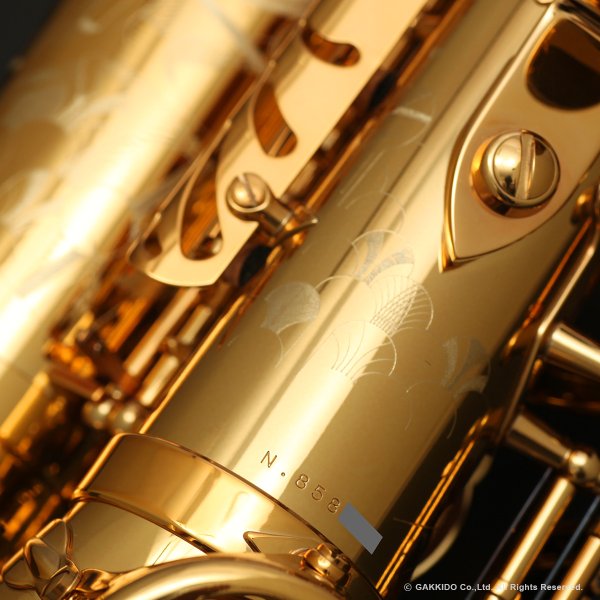 画像13: H.SELMER　Signature　アルトサックス　ダークシグネチャーラッカー仕上げ　#858XXX　【中古商品】 (13)