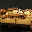 画像14: H.SELMER　Signature　アルトサックス　ダークシグネチャーラッカー仕上げ　#858XXX　【中古商品】 (14)