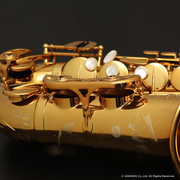 画像14: H.SELMER　Signature　アルトサックス　ダークシグネチャーラッカー仕上げ　#858XXX　【中古商品】 (14)